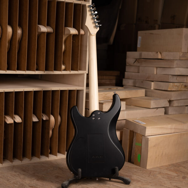 Proposition : Fascinante Black Burst – Image 2